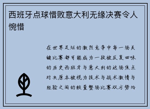 西班牙点球惜败意大利无缘决赛令人惋惜